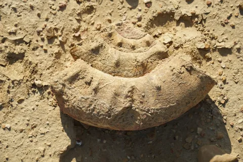 Weathered carved stone lying on sandy ground