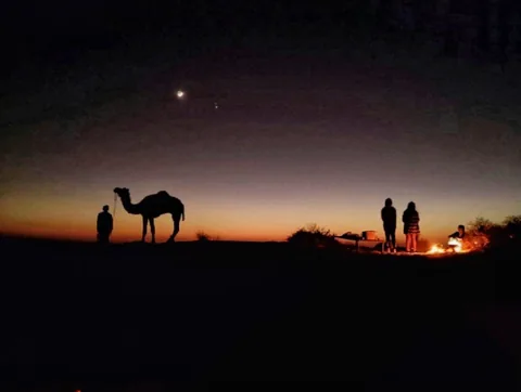 Camels and distant silhouettes against the dusk sky