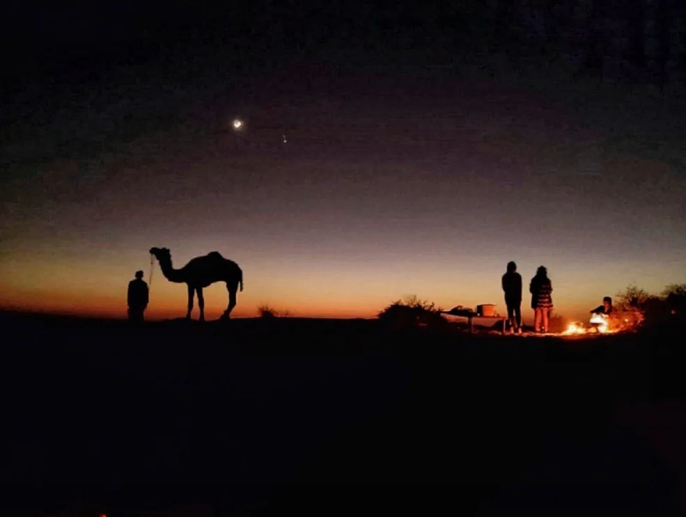 Camels and distant silhouettes against the dusk sky
