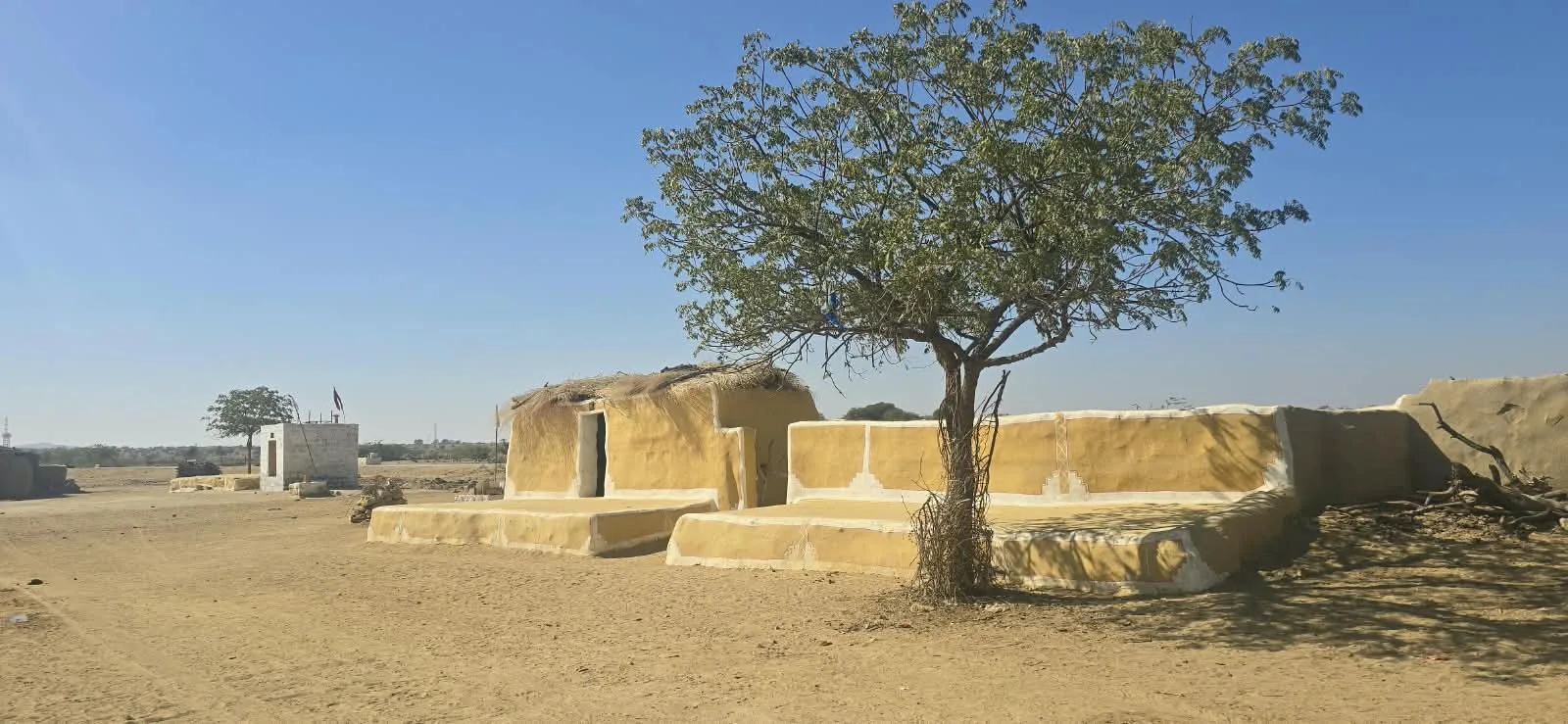 A spreading tree among earthen village buildings in the Thar