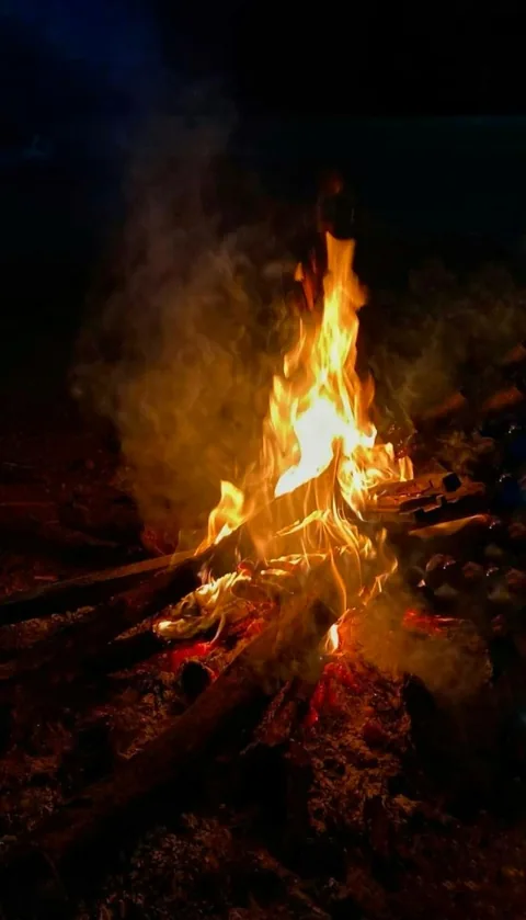 Orange flames illuminating burning wood